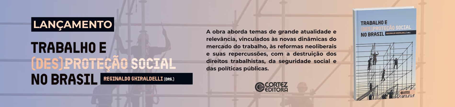 Trabalho e (des)proteção social no Brasil